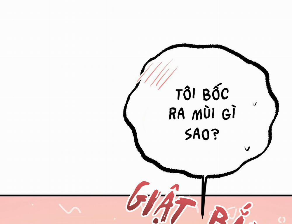 Những Chú Thỏ Của Hapypy 15 trang 165