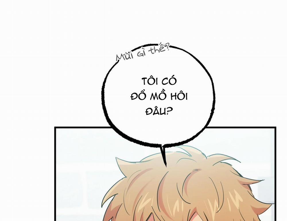 Những Chú Thỏ Của Hapypy 15 trang 168