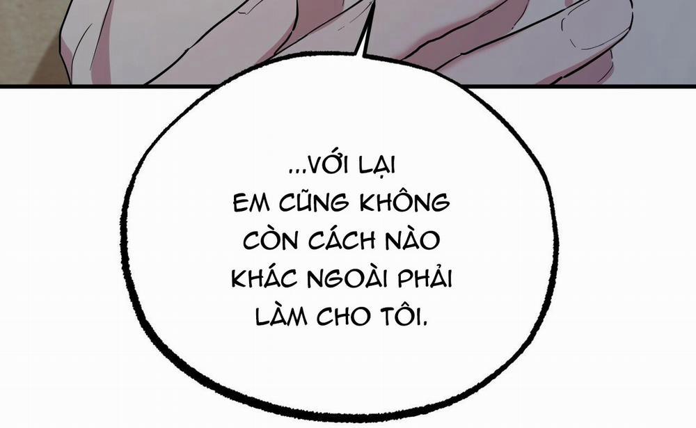 Những Chú Thỏ Của Hapypy 15 trang 17