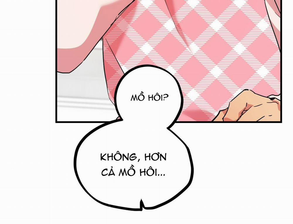 Những Chú Thỏ Của Hapypy 15 trang 170