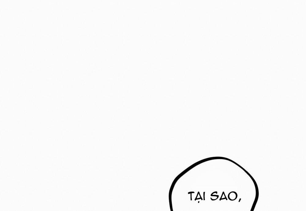 Những Chú Thỏ Của Hapypy 15 trang 184