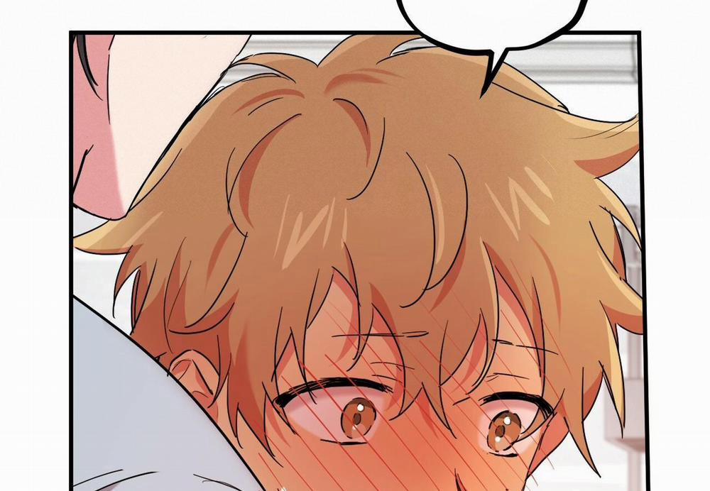 Những Chú Thỏ Của Hapypy 15 trang 185