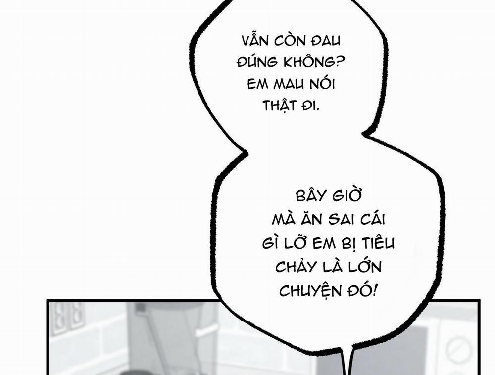 Những Chú Thỏ Của Hapypy 15 trang 206