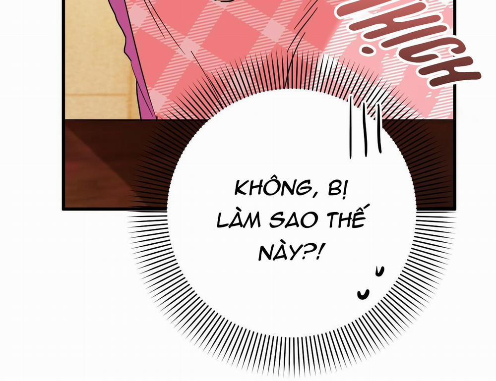 Những Chú Thỏ Của Hapypy 15 trang 225