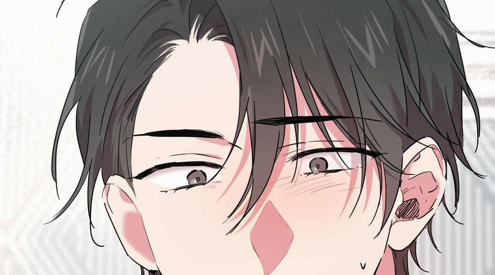 Những Chú Thỏ Của Hapypy 15 trang 244