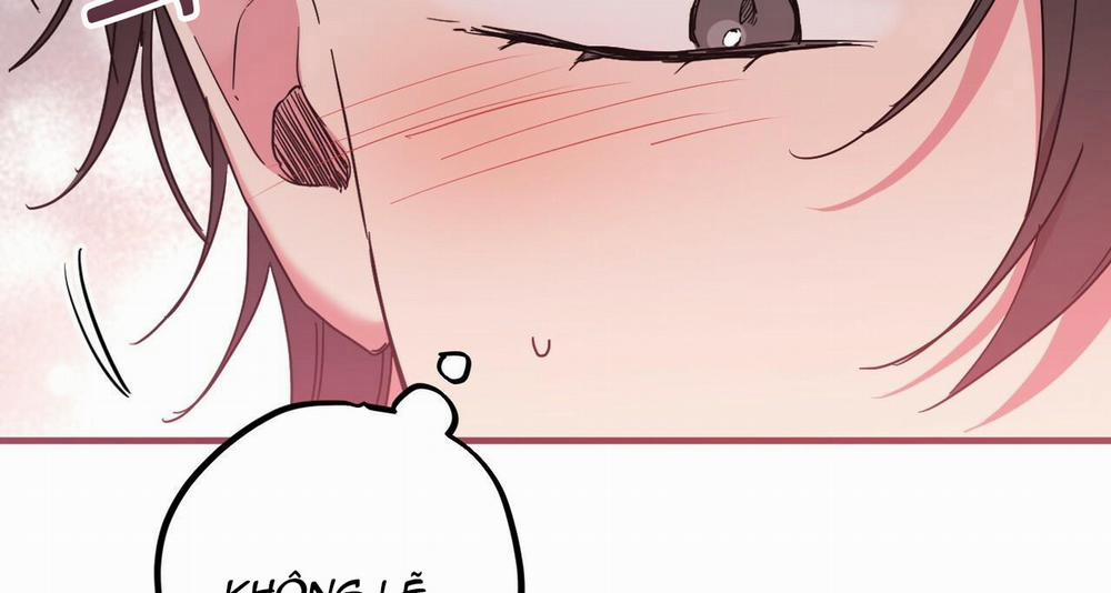 Những Chú Thỏ Của Hapypy 15 trang 251