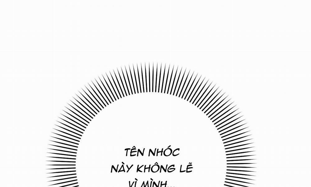 Những Chú Thỏ Của Hapypy 15 trang 33