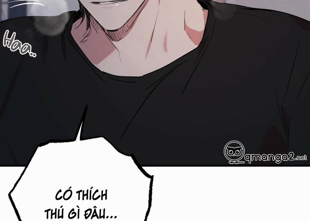 Những Chú Thỏ Của Hapypy 15 trang 61