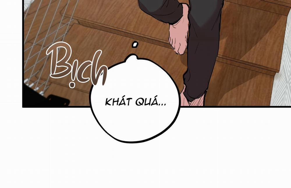 Những Chú Thỏ Của Hapypy 15 trang 99