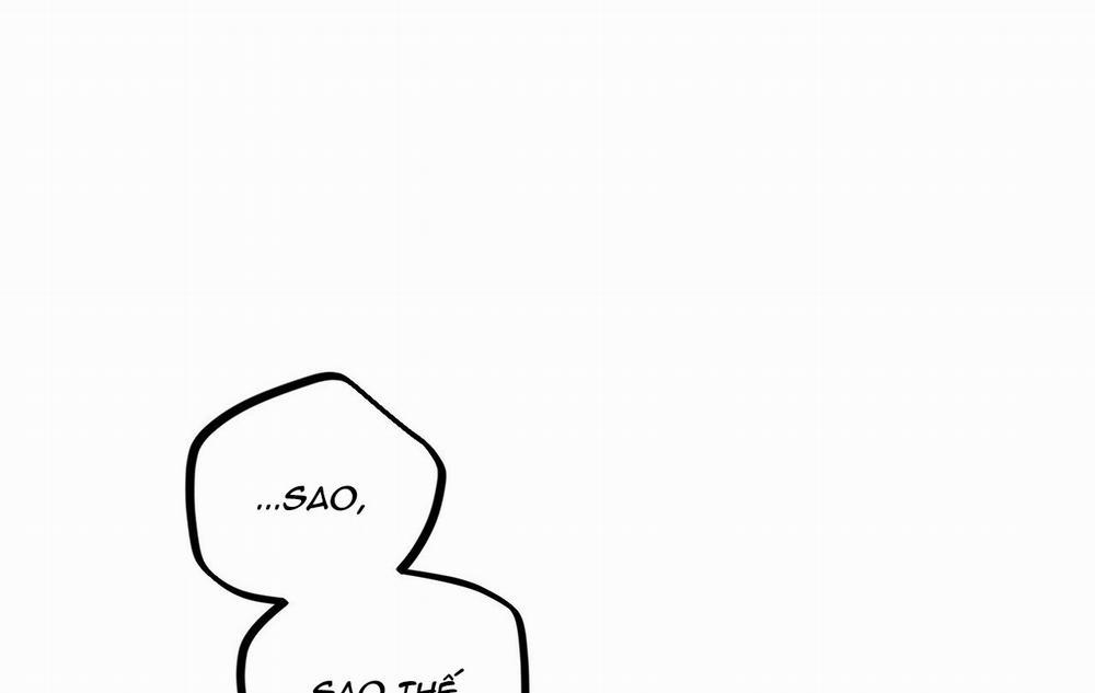 Những Chú Thỏ Của Hapypy 16 trang 114