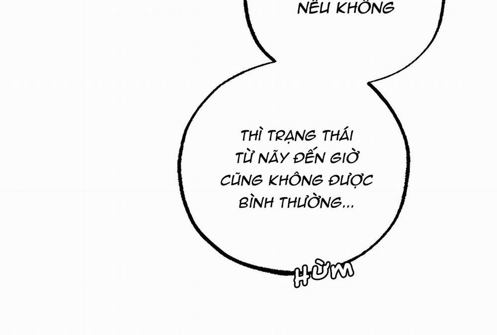 Những Chú Thỏ Của Hapypy 16 trang 12