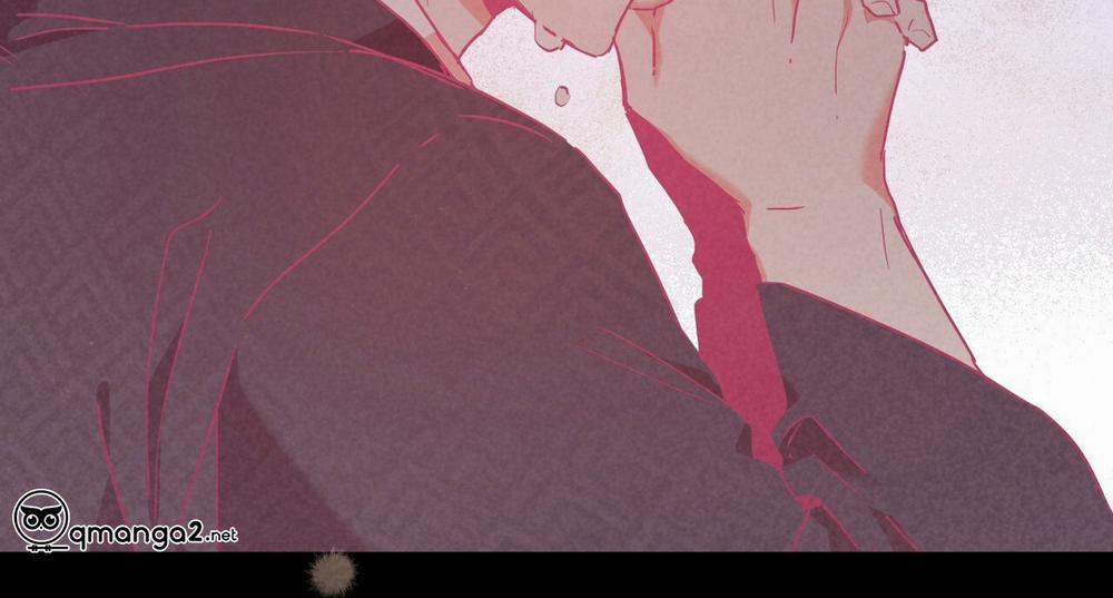 Những Chú Thỏ Của Hapypy 16 trang 152