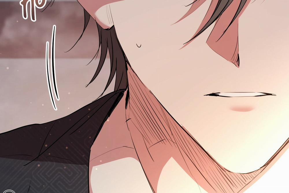 Những Chú Thỏ Của Hapypy 16 trang 204