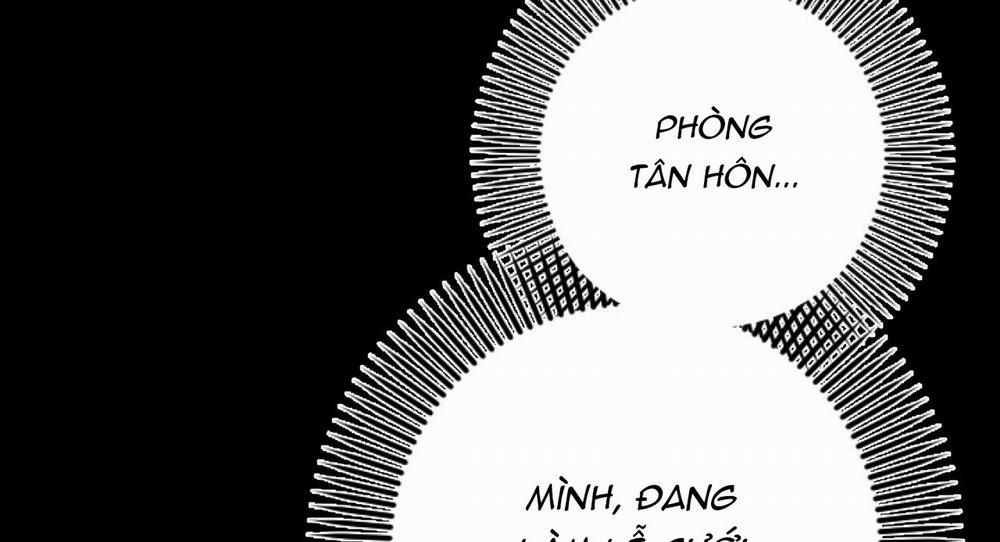 Những Chú Thỏ Của Hapypy 16 trang 211