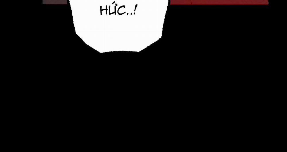 Những Chú Thỏ Của Hapypy 16 trang 257