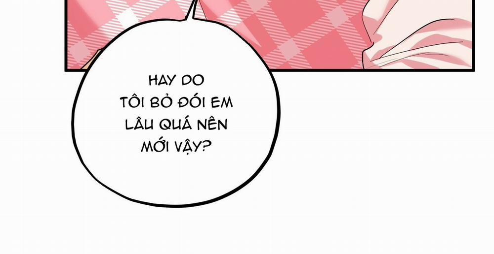 Những Chú Thỏ Của Hapypy 16 trang 27