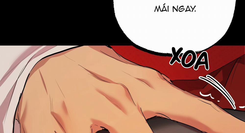 Những Chú Thỏ Của Hapypy 16 trang 275