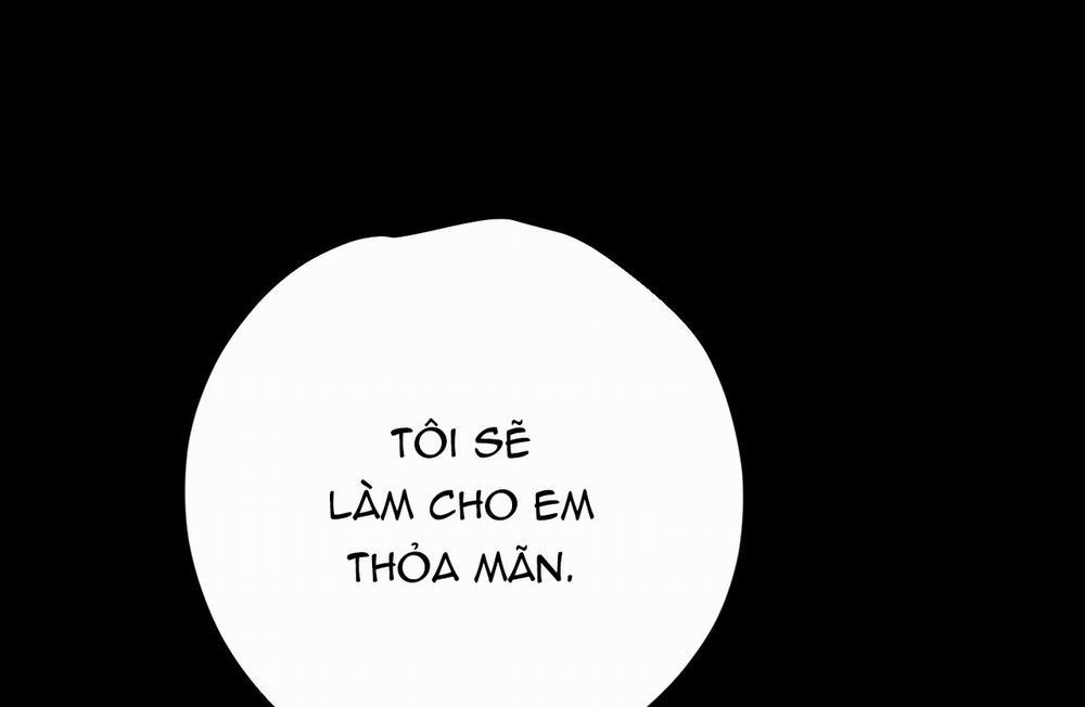 Những Chú Thỏ Của Hapypy 16 trang 294