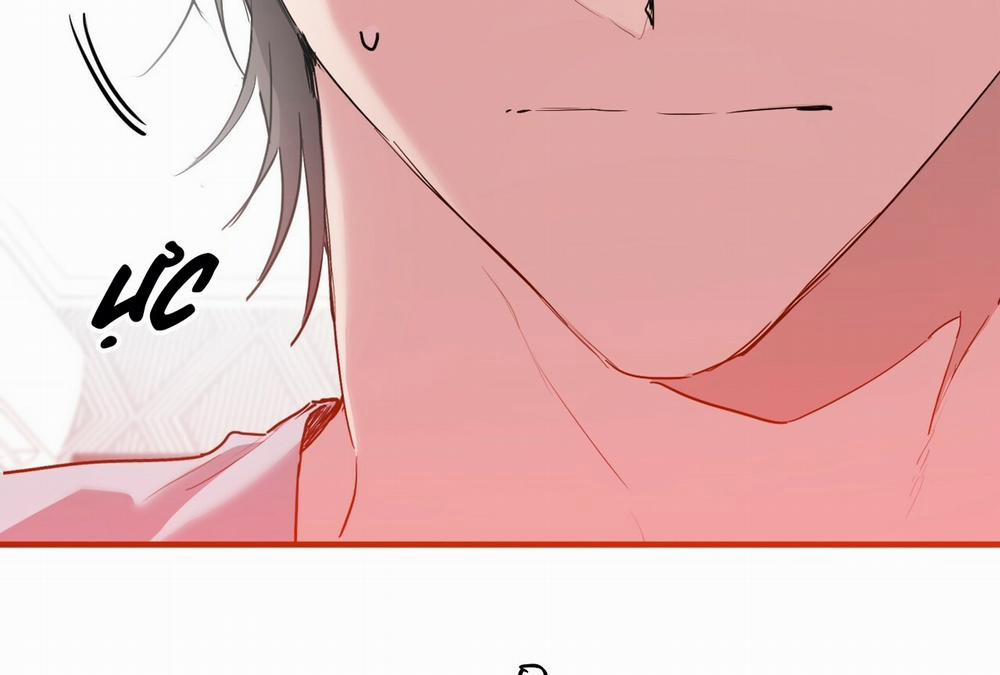 Những Chú Thỏ Của Hapypy 16 trang 3