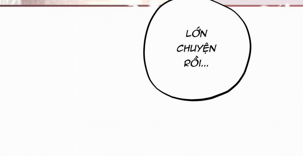 Những Chú Thỏ Của Hapypy 16 trang 31