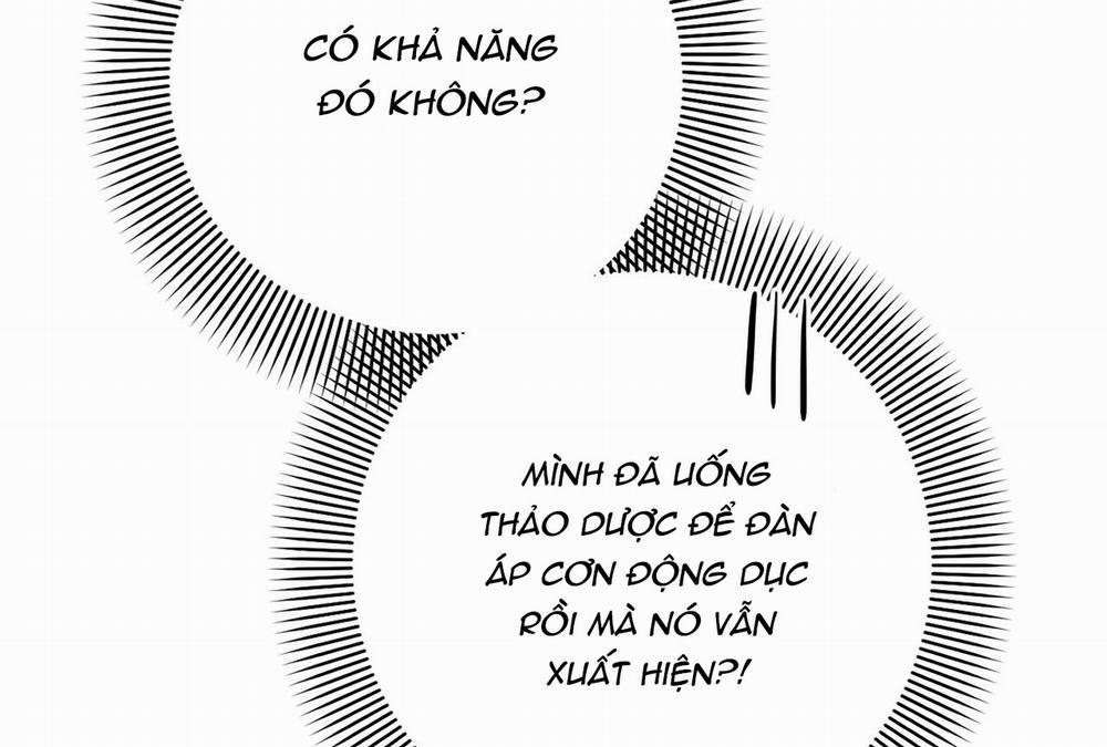 Những Chú Thỏ Của Hapypy 16 trang 8