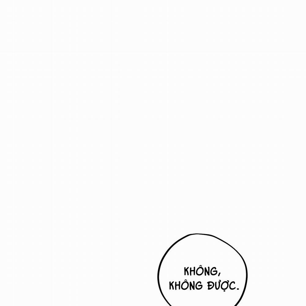 Những Chú Thỏ Của Hapypy 17 trang 133