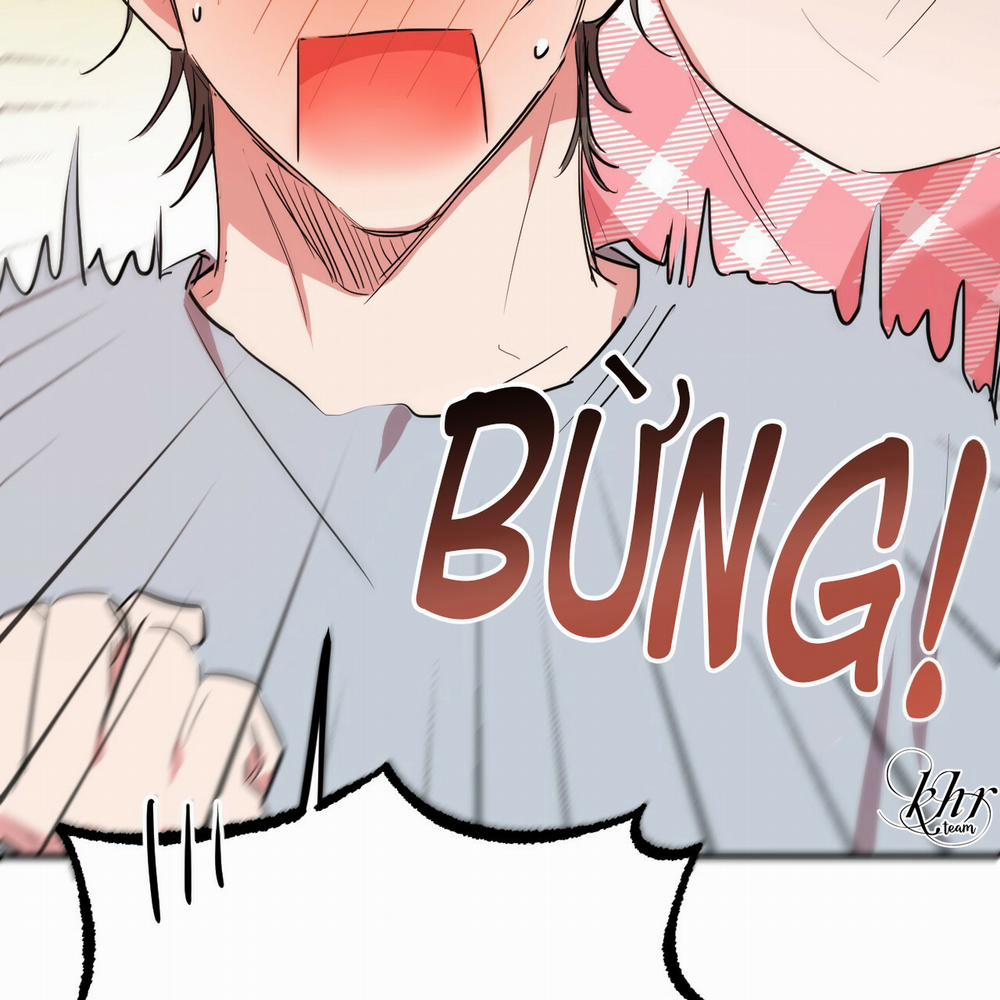 Những Chú Thỏ Của Hapypy 17 trang 16