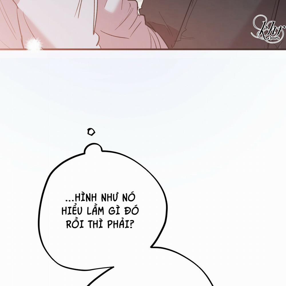 Những Chú Thỏ Của Hapypy 17 trang 160