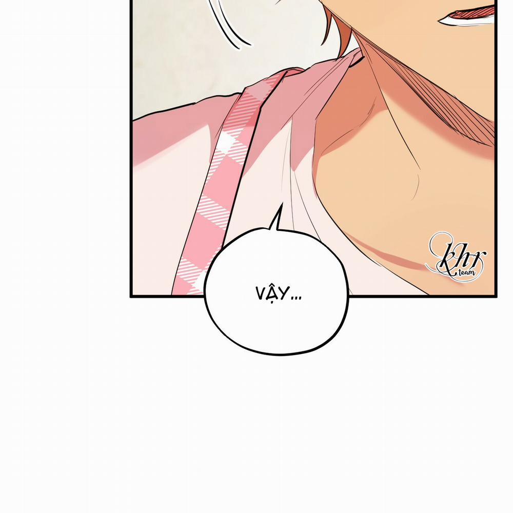 Những Chú Thỏ Của Hapypy 17 trang 43