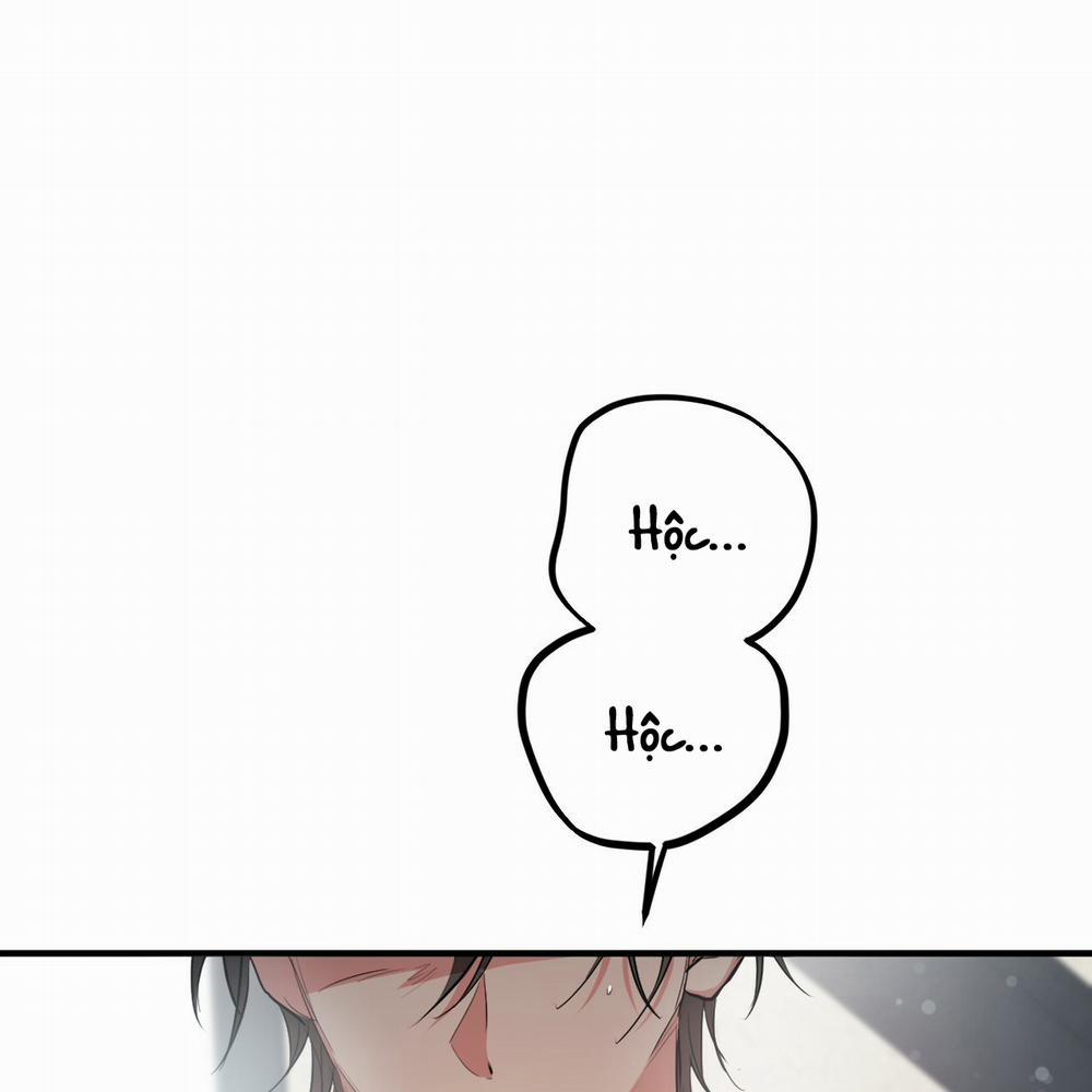 Những Chú Thỏ Của Hapypy 17 trang 9