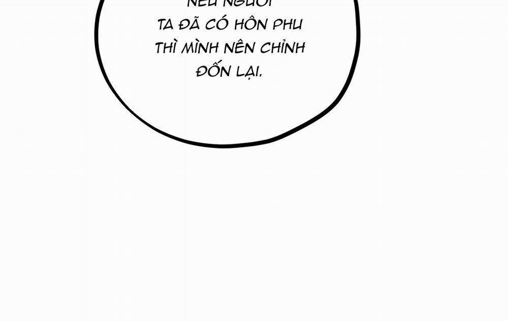 Những Chú Thỏ Của Hapypy 18 trang 142