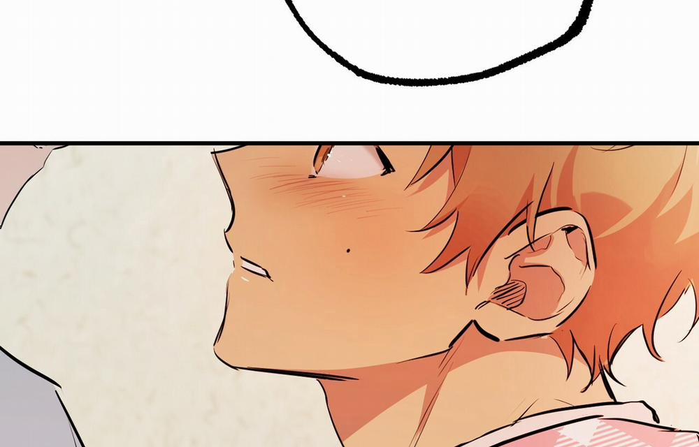 Những Chú Thỏ Của Hapypy 18 trang 2