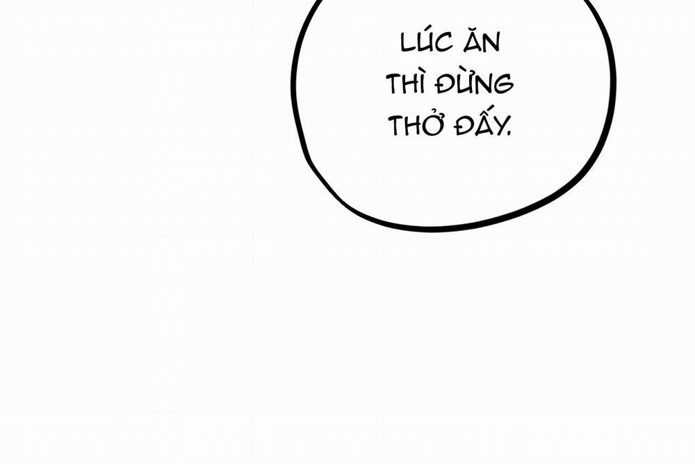 Những Chú Thỏ Của Hapypy 18 trang 211