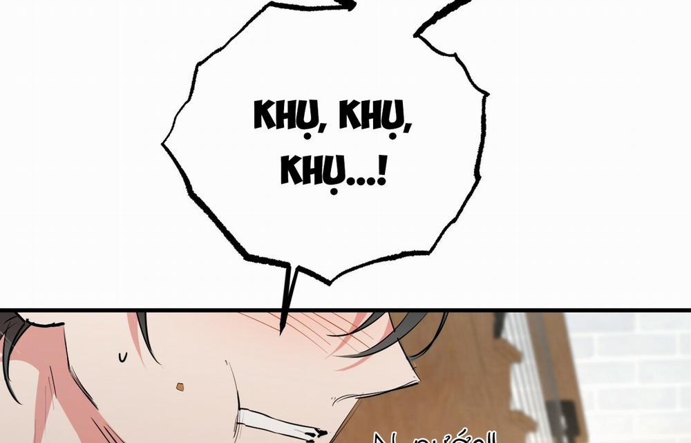 Những Chú Thỏ Của Hapypy 18 trang 227