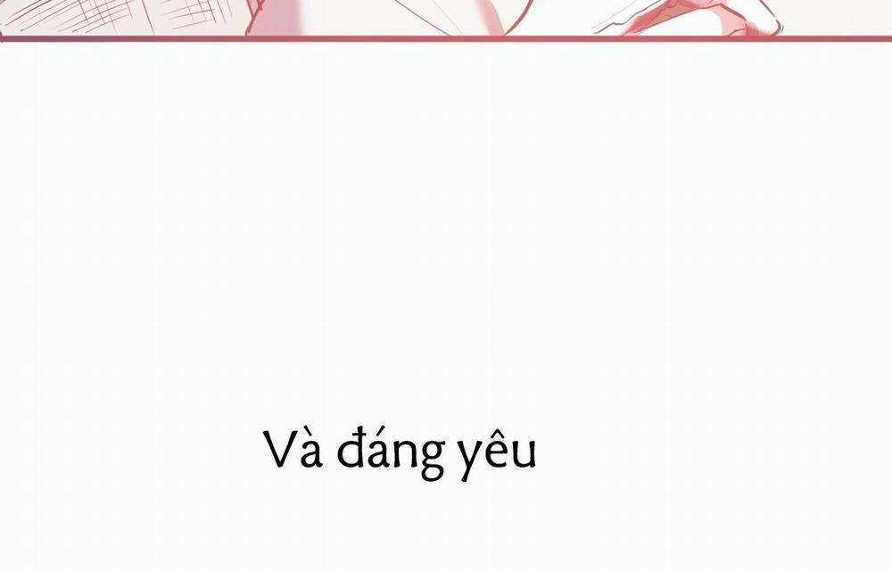 Những Chú Thỏ Của Hapypy 18 trang 23