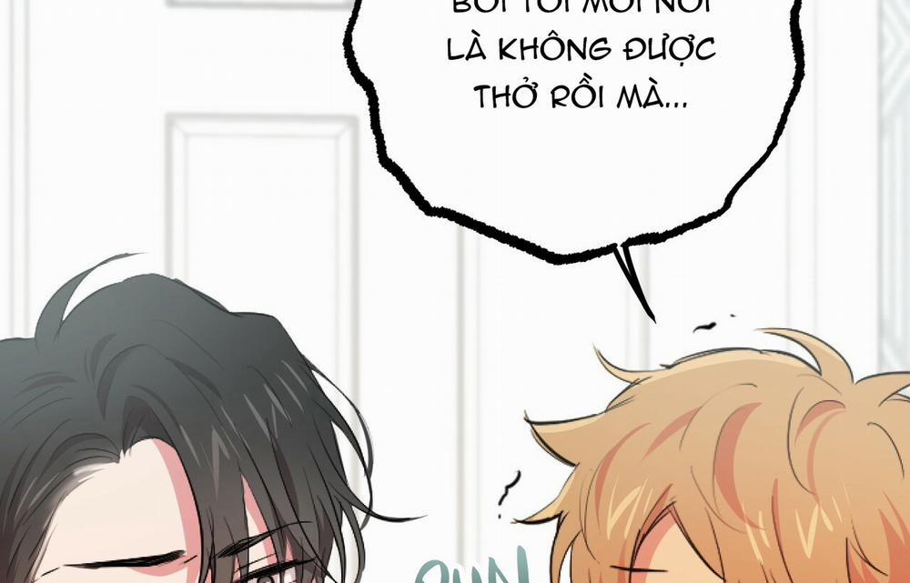 Những Chú Thỏ Của Hapypy 18 trang 240