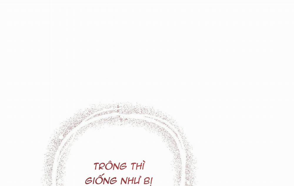 Những Chú Thỏ Của Hapypy 18 trang 255