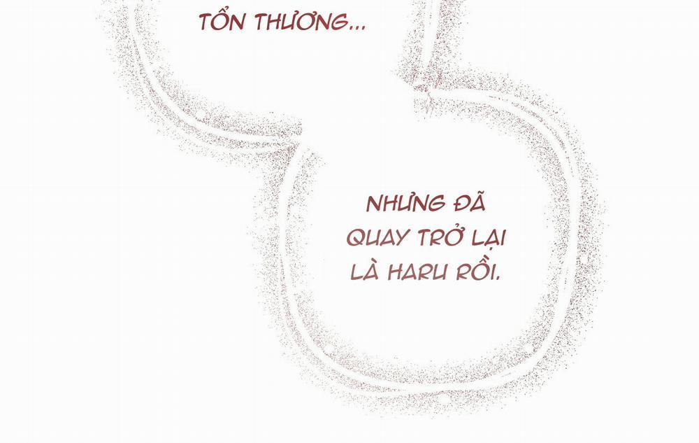 Những Chú Thỏ Của Hapypy 18 trang 256