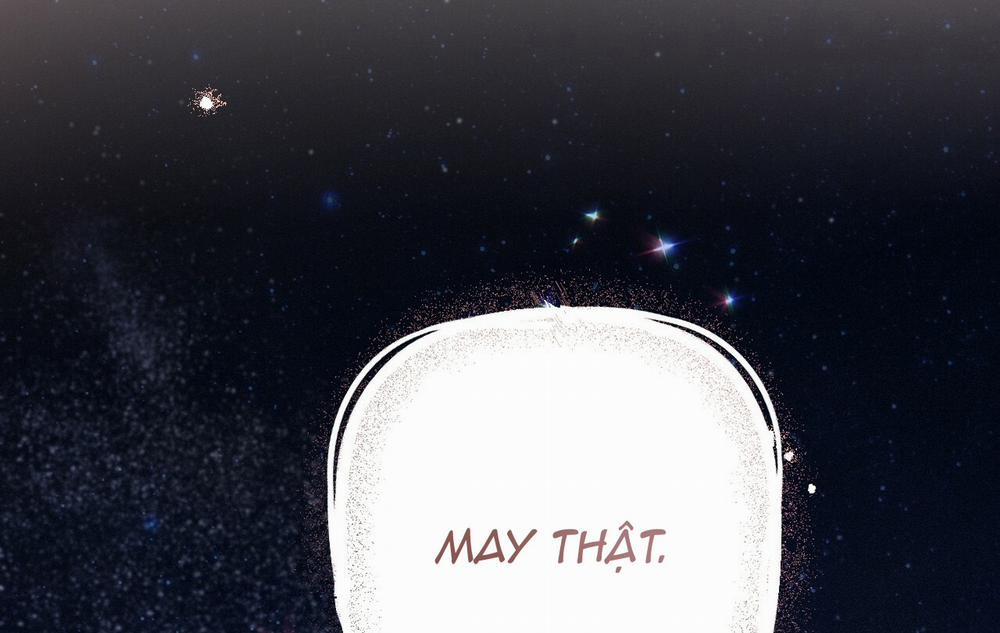 Những Chú Thỏ Của Hapypy 18 trang 260