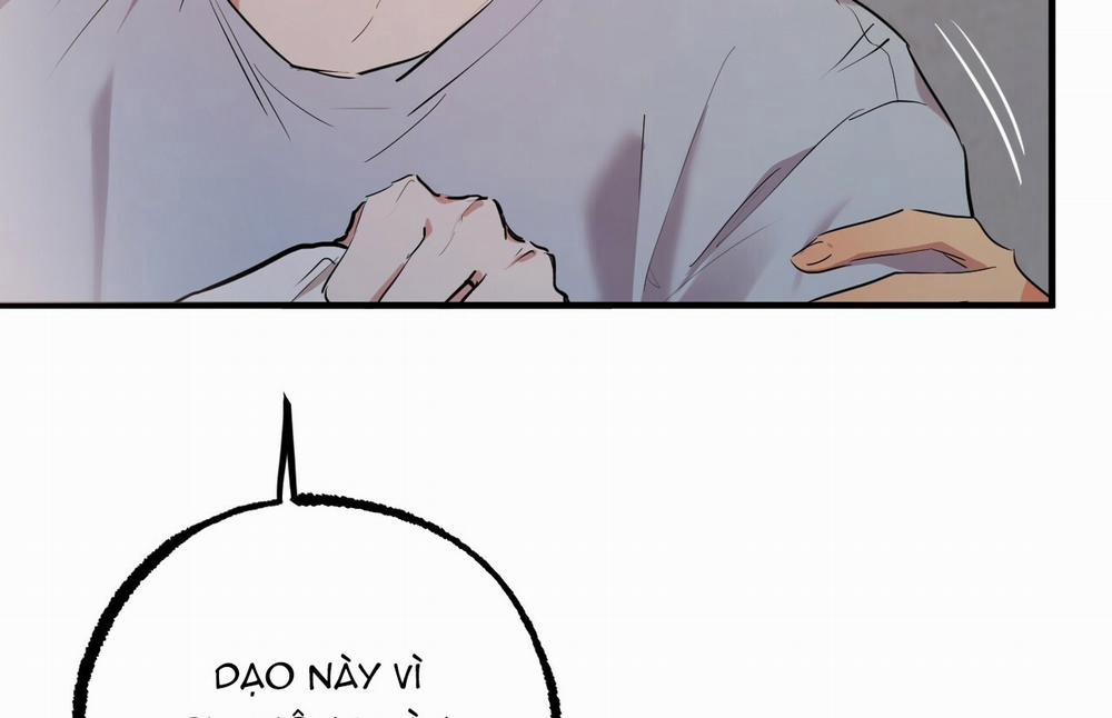 Những Chú Thỏ Của Hapypy 18 trang 277