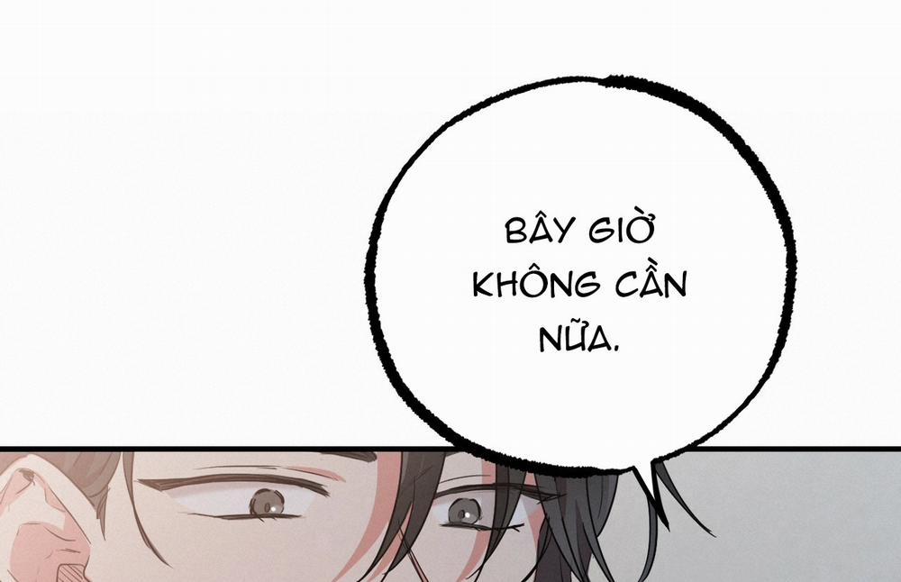 Những Chú Thỏ Của Hapypy 18 trang 282