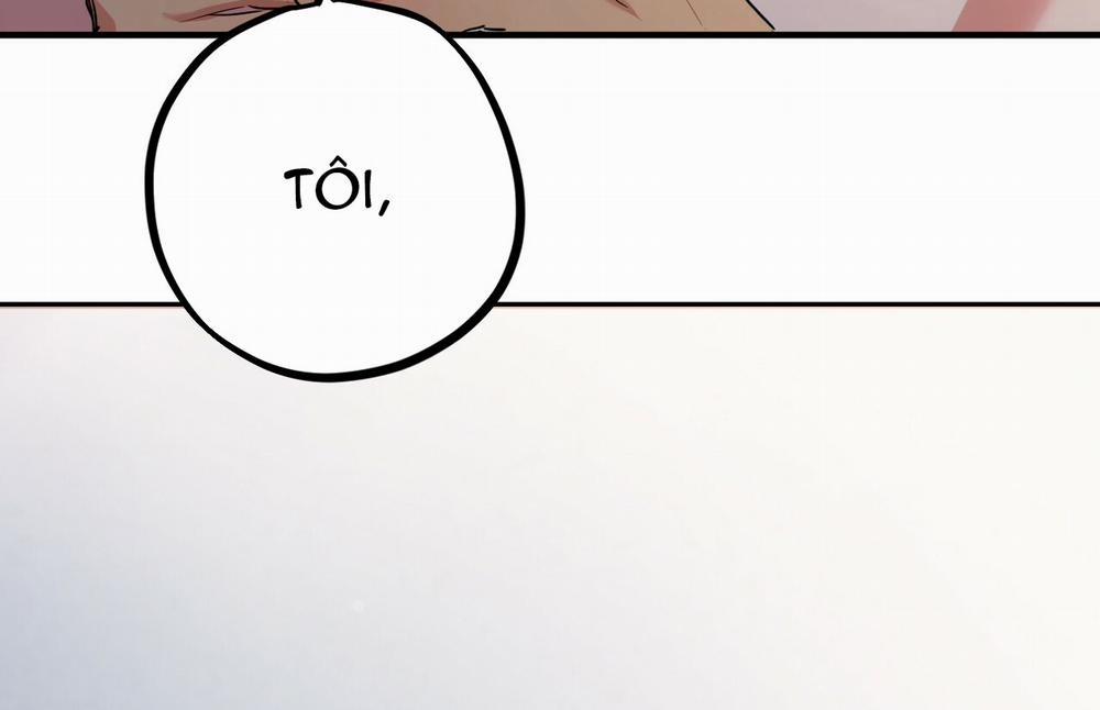 Những Chú Thỏ Của Hapypy 18 trang 286