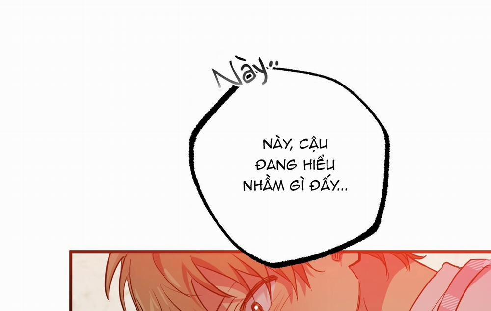 Những Chú Thỏ Của Hapypy 18 trang 29