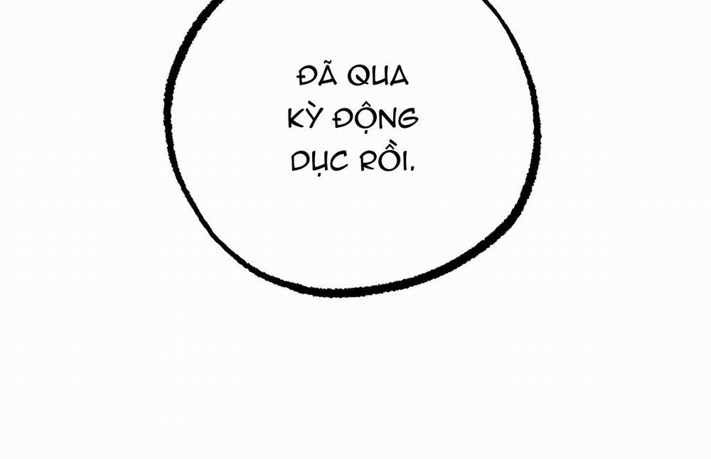 Những Chú Thỏ Của Hapypy 18 trang 291