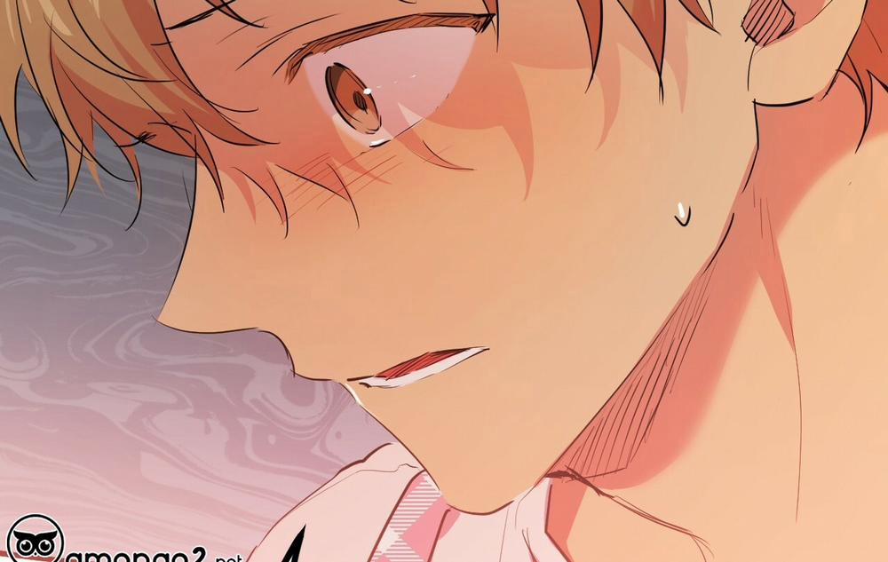 Những Chú Thỏ Của Hapypy 18 trang 37