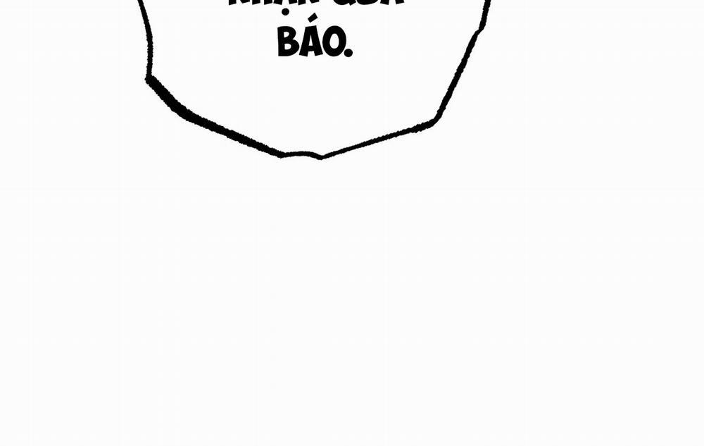 Những Chú Thỏ Của Hapypy 18 trang 39