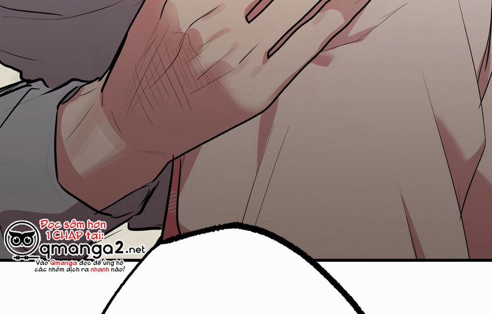 Những Chú Thỏ Của Hapypy 18 trang 4