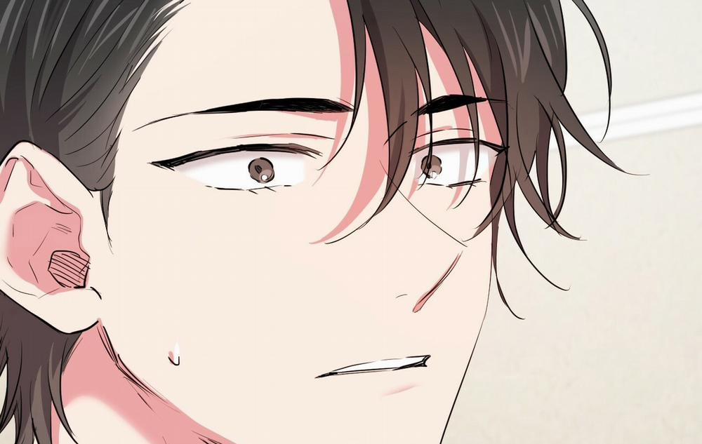 Những Chú Thỏ Của Hapypy 18 trang 41