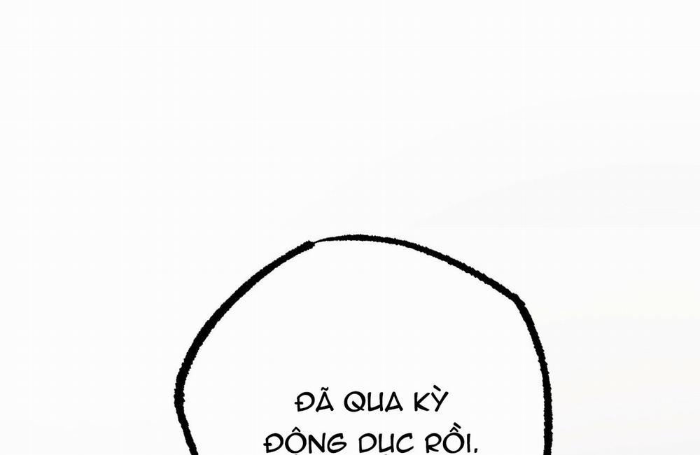 Những Chú Thỏ Của Hapypy 19 trang 1