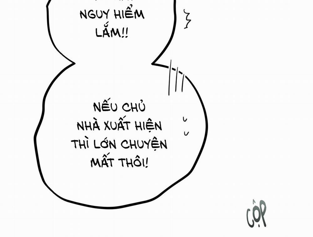 Những Chú Thỏ Của Hapypy 19 trang 117